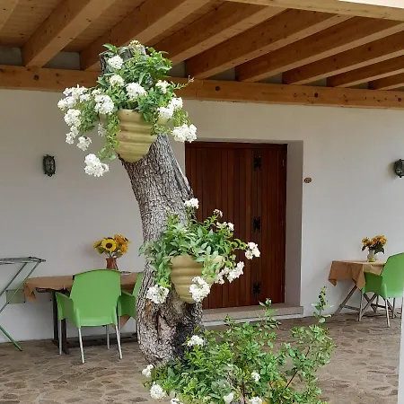 B&B Su Terrabinu-2